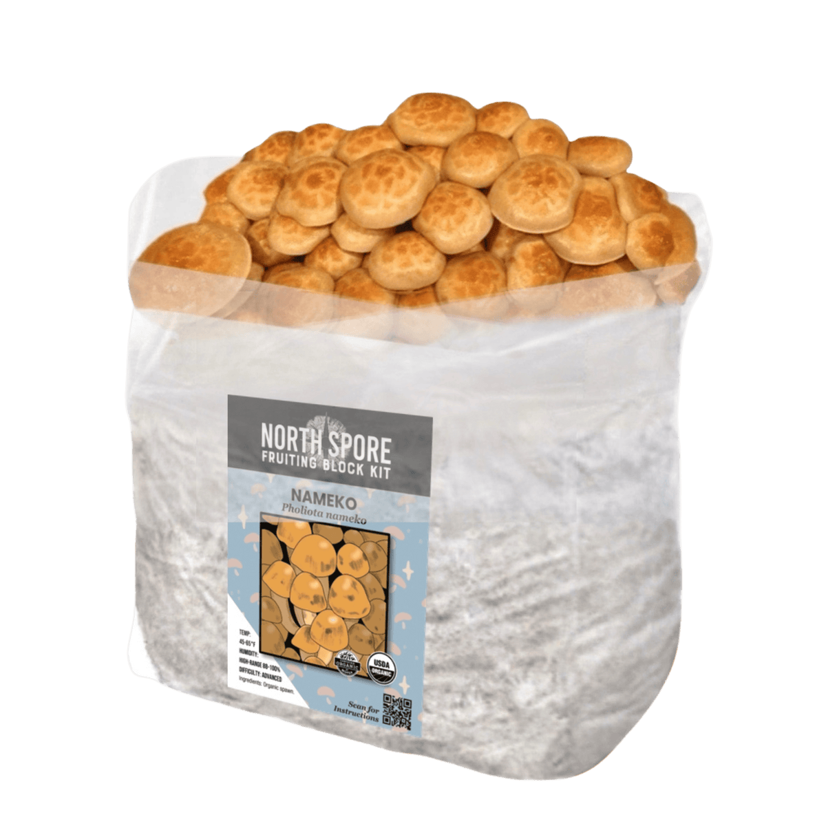 Organic Nameko Mushroom Grow Kit Fruiting Block - BetterGrow Hydro