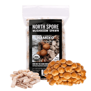 Organic Nameko Mushroom Plug Spawn - BetterGrow Hydro