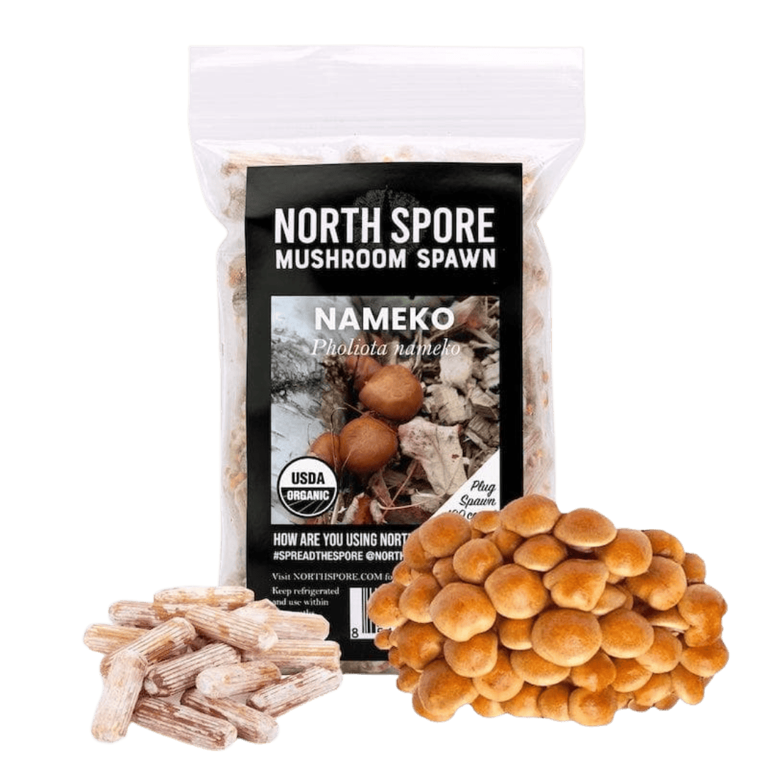 Organic Nameko Mushroom Plug Spawn - BetterGrow Hydro