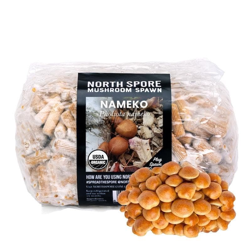 Organic Nameko Mushroom Plug Spawn - BetterGrow Hydro