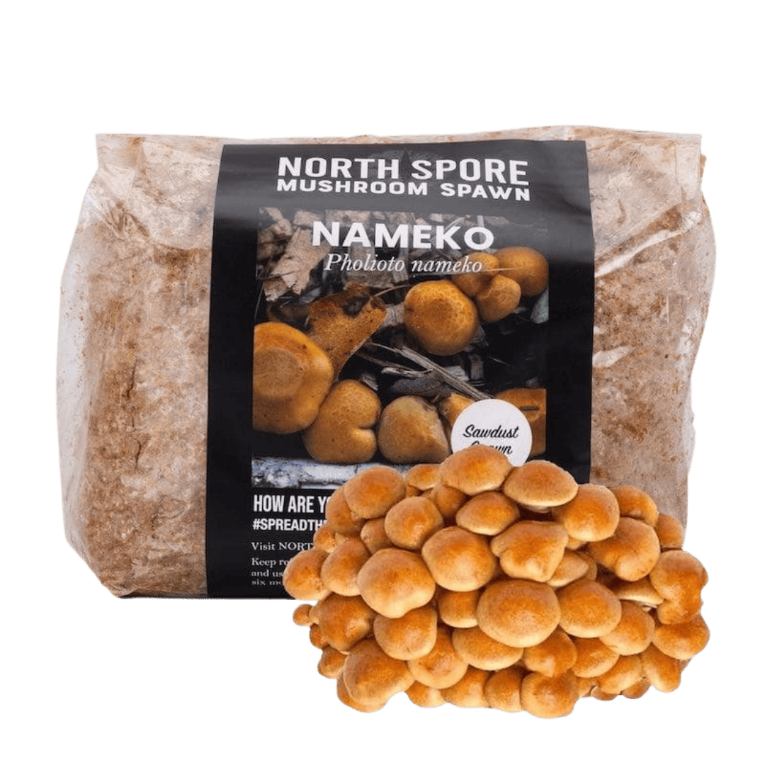 Organic Nameko Mushroom Sawdust Spawn - BetterGrow Hydro