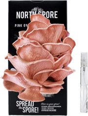Organic Pink Oyster ‘Spray & Grow’ Mushroom Growing Kit - BetterGrow Hydro