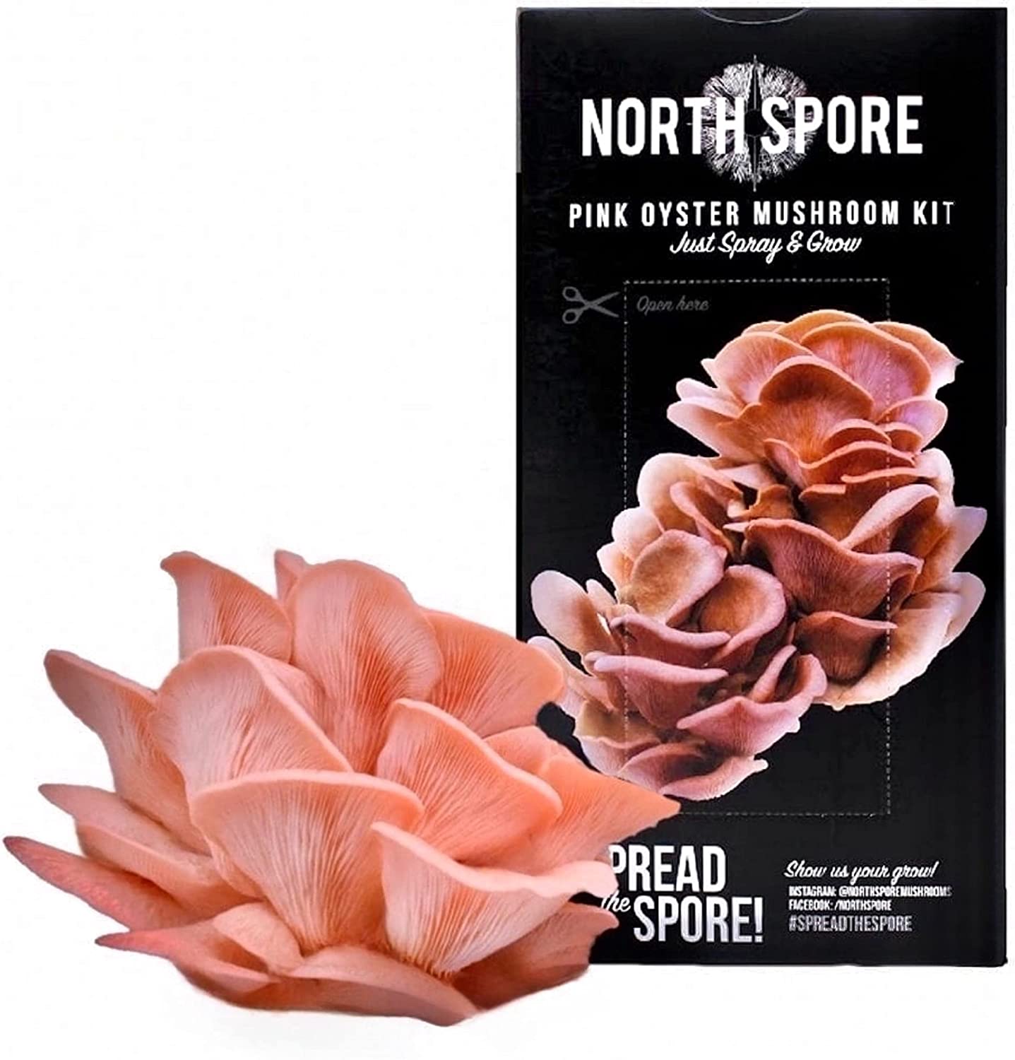 Organic Pink Oyster ‘Spray & Grow’ Mushroom Growing Kit - BetterGrow Hydro
