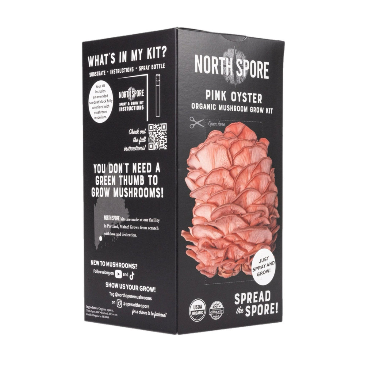 Organic Pink Oyster ‘Spray & Grow’ Mushroom Growing Kit - BetterGrow Hydro