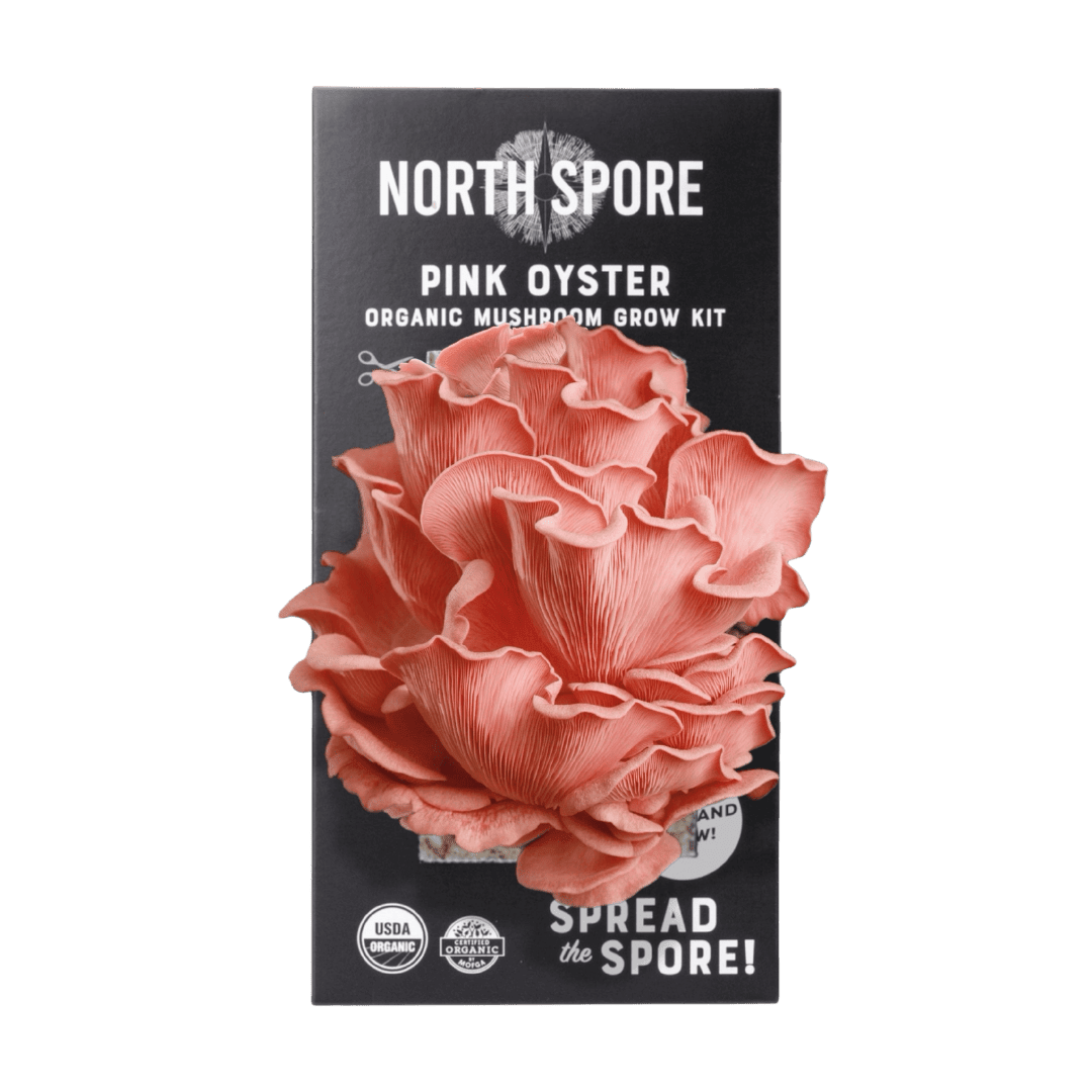Organic Pink Oyster ‘Spray & Grow’ Mushroom Growing Kit - BetterGrow Hydro