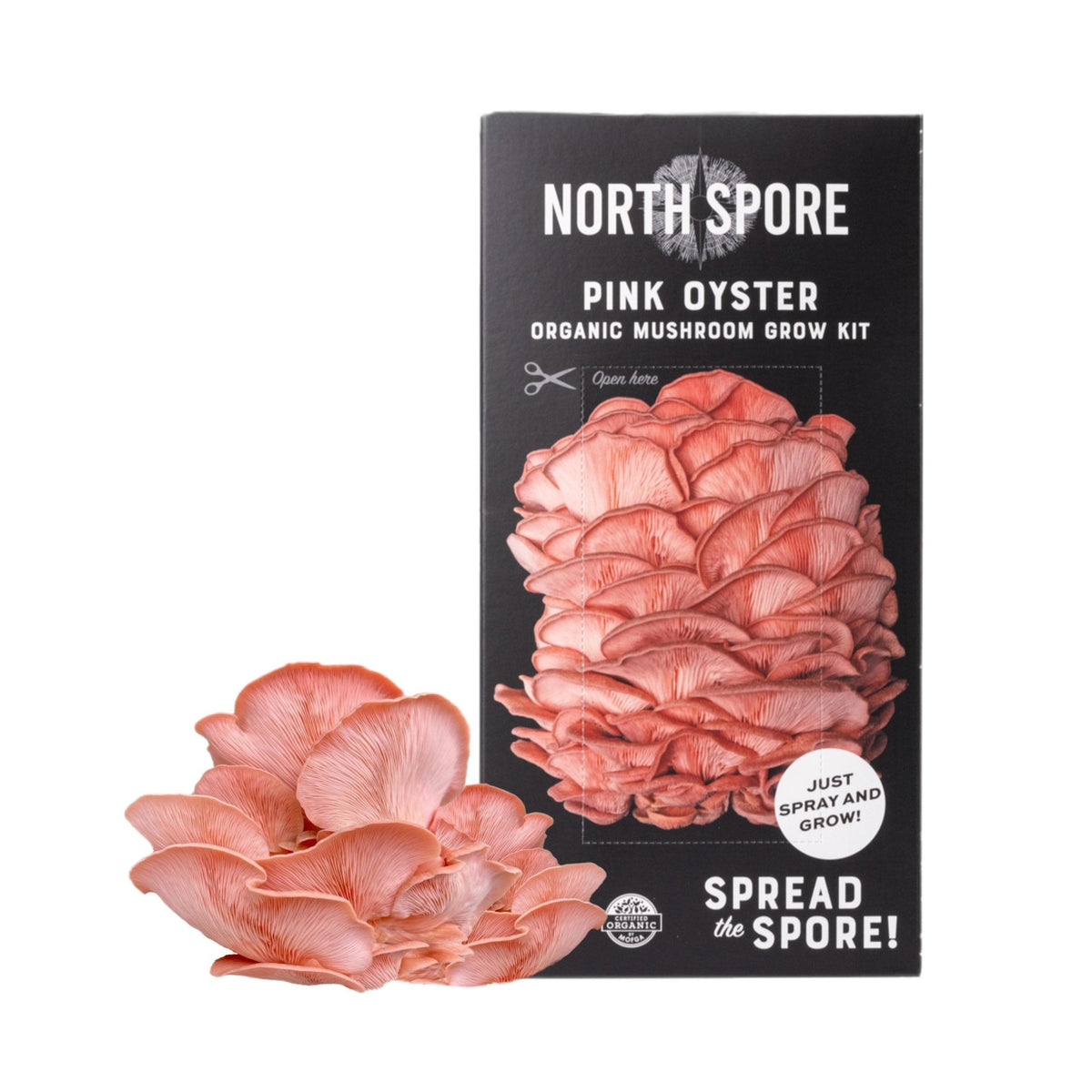 Organic Pink Oyster ‘Spray & Grow’ Mushroom Growing Kit - BetterGrow Hydro