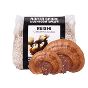 Organic Red Reishi Mushroom Grain Spawn - BetterGrow Hydro