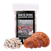 Organic Red Reishi Mushroom Plug Spawn - BetterGrow Hydro