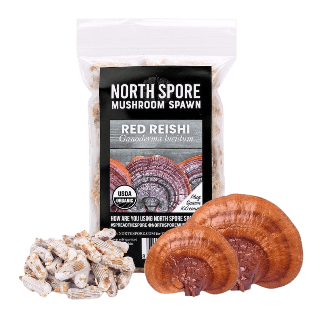 Organic Red Reishi Mushroom Plug Spawn - BetterGrow Hydro