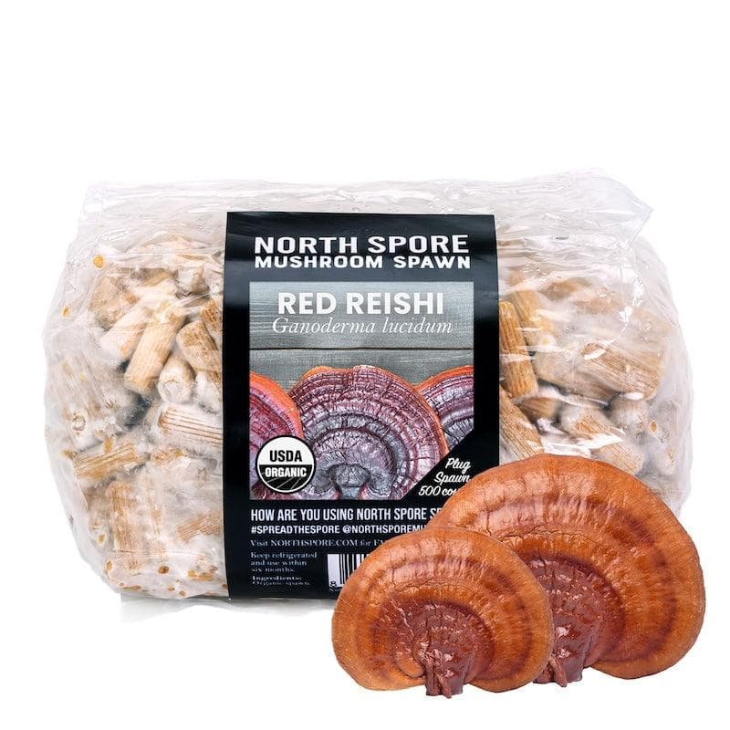 Organic Red Reishi Mushroom Plug Spawn - BetterGrow Hydro