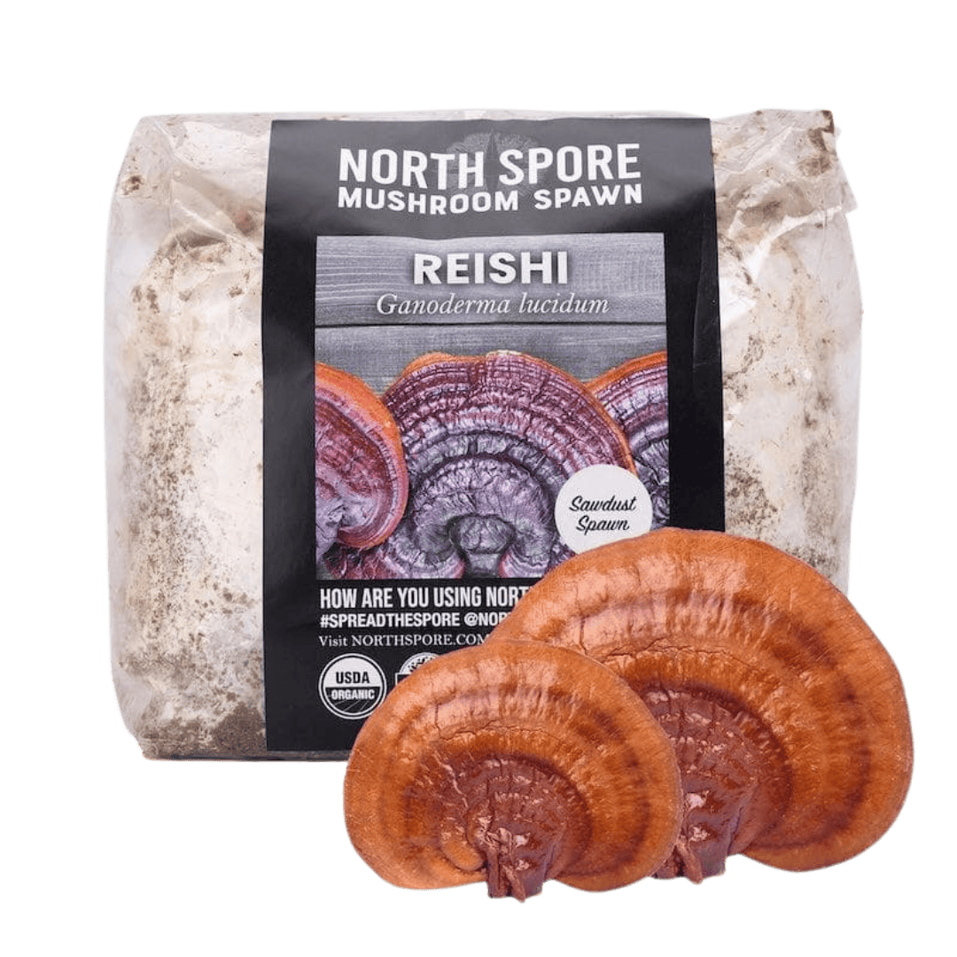 Organic Red Reishi Mushroom Sawdust Spawn - BetterGrow Hydro