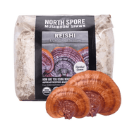 Organic Red Reishi Mushroom Sawdust Spawn - BetterGrow Hydro