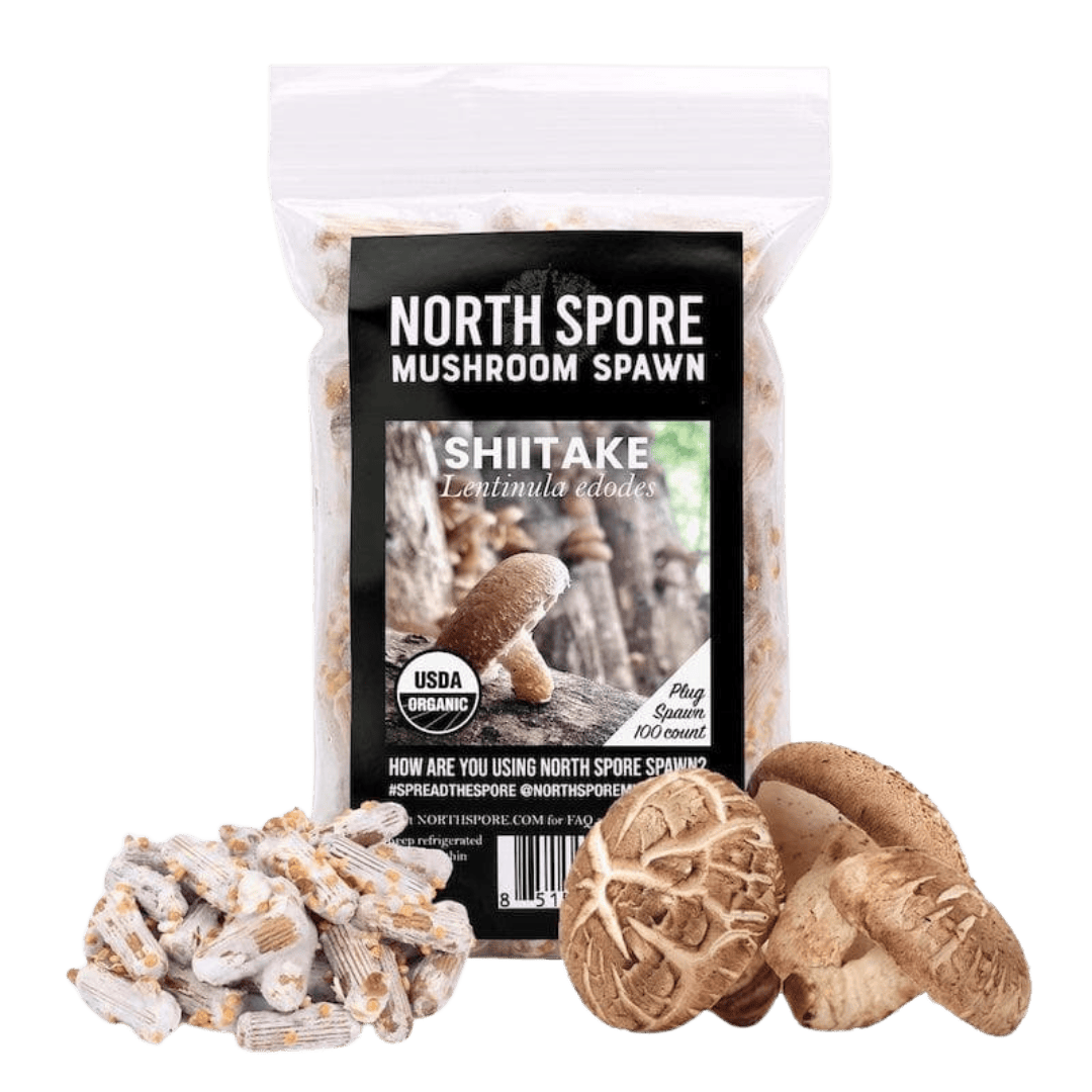 Organic Shiitake Mushroom Plug Spawn - BetterGrow Hydro