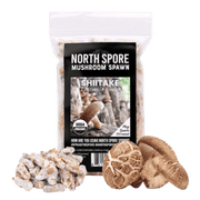 Organic Shiitake Mushroom Plug Spawn - BetterGrow Hydro