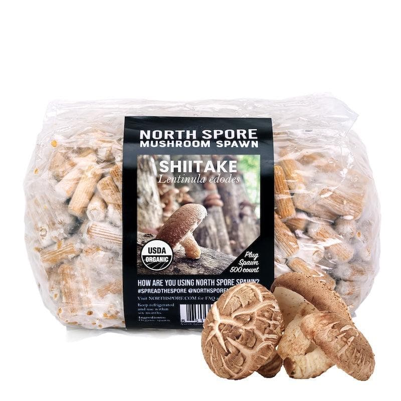 Organic Shiitake Mushroom Plug Spawn - BetterGrow Hydro