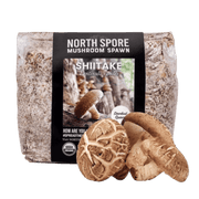 Organic Shiitake Mushroom Sawdust Spawn - BetterGrow Hydro