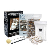 Organic Snow Oyster Mushroom Log Kit - BetterGrow Hydro