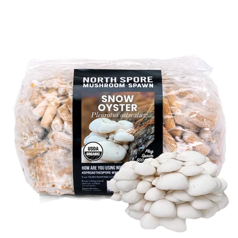 Organic Snow Oyster Mushroom Plug Spawn - BetterGrow Hydro