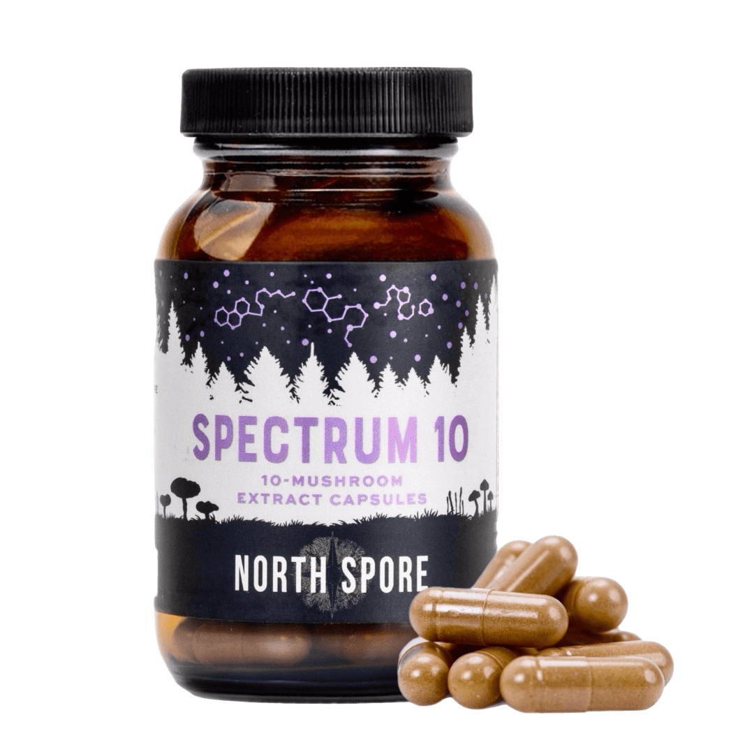 Organic ‘Spectrum 10’ Mushroom Capsules (120 ct) - BetterGrow Hydro