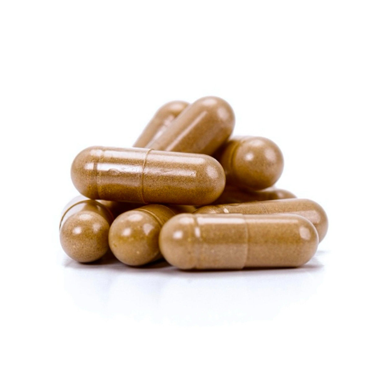 Organic ‘Spectrum 10’ Mushroom Capsules (High Potency) - BetterGrow Hydro