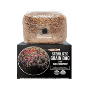 Organic Sterilized Grain Bag with Injection Port - BetterGrow Hydro