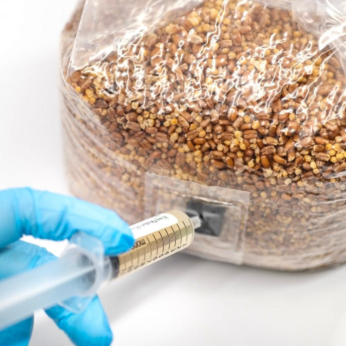 Organic Sterilized Grain Bag with Injection Port - BetterGrow Hydro