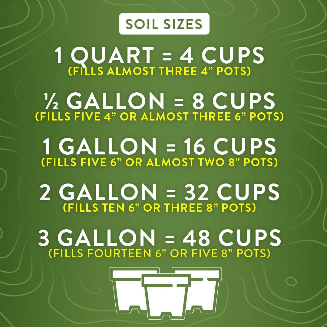 Perlite 4 - quart - BetterGrow Hydro