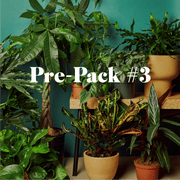 Plant Paradise Extra Large Bundle - BetterGrow Hydro