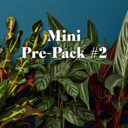 Plant Paradise Large Bundle - BetterGrow Hydro