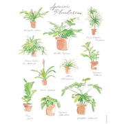 Plant Species Poster - BetterGrow Hydro
