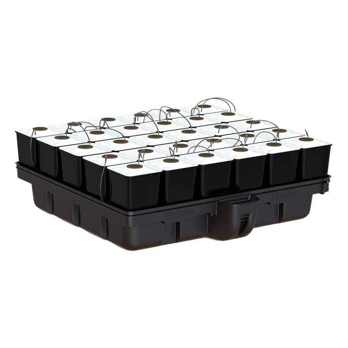 Platinium Series AeroStar - BetterGrow Hydro