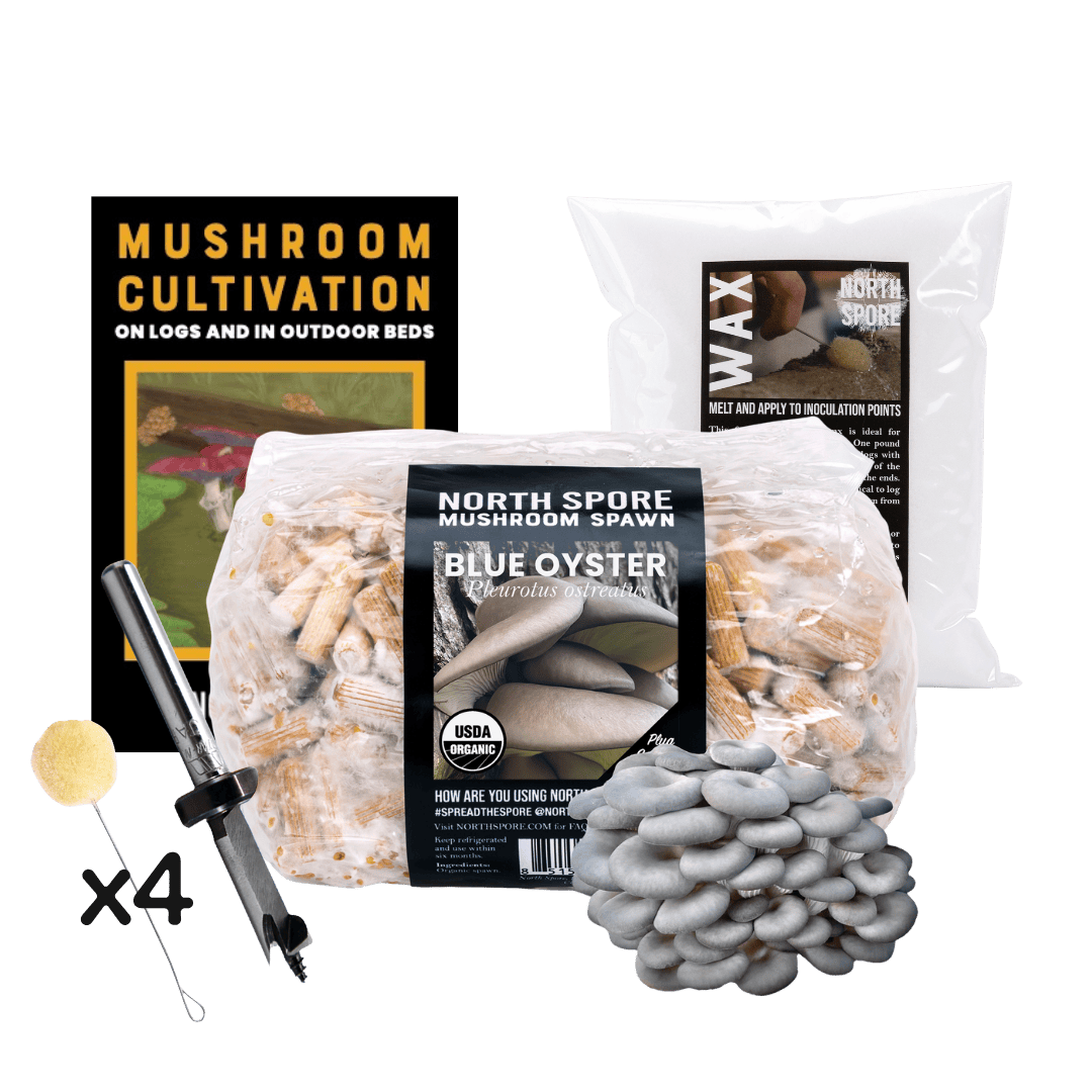 Plug Spawn Mushroom Log Beginner Kit - BetterGrow Hydro
