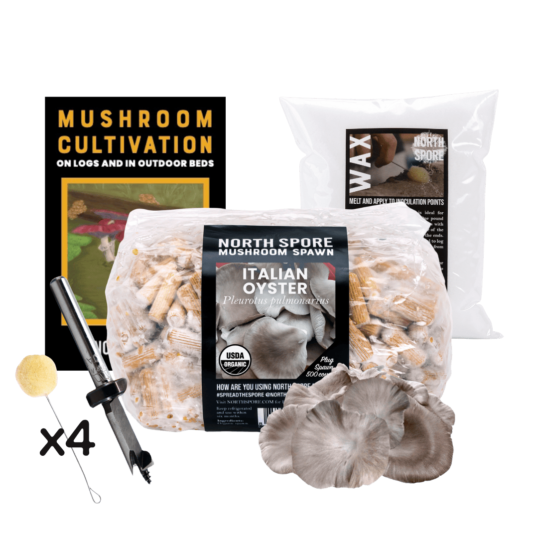 Plug Spawn Mushroom Log Beginner Kit - BetterGrow Hydro