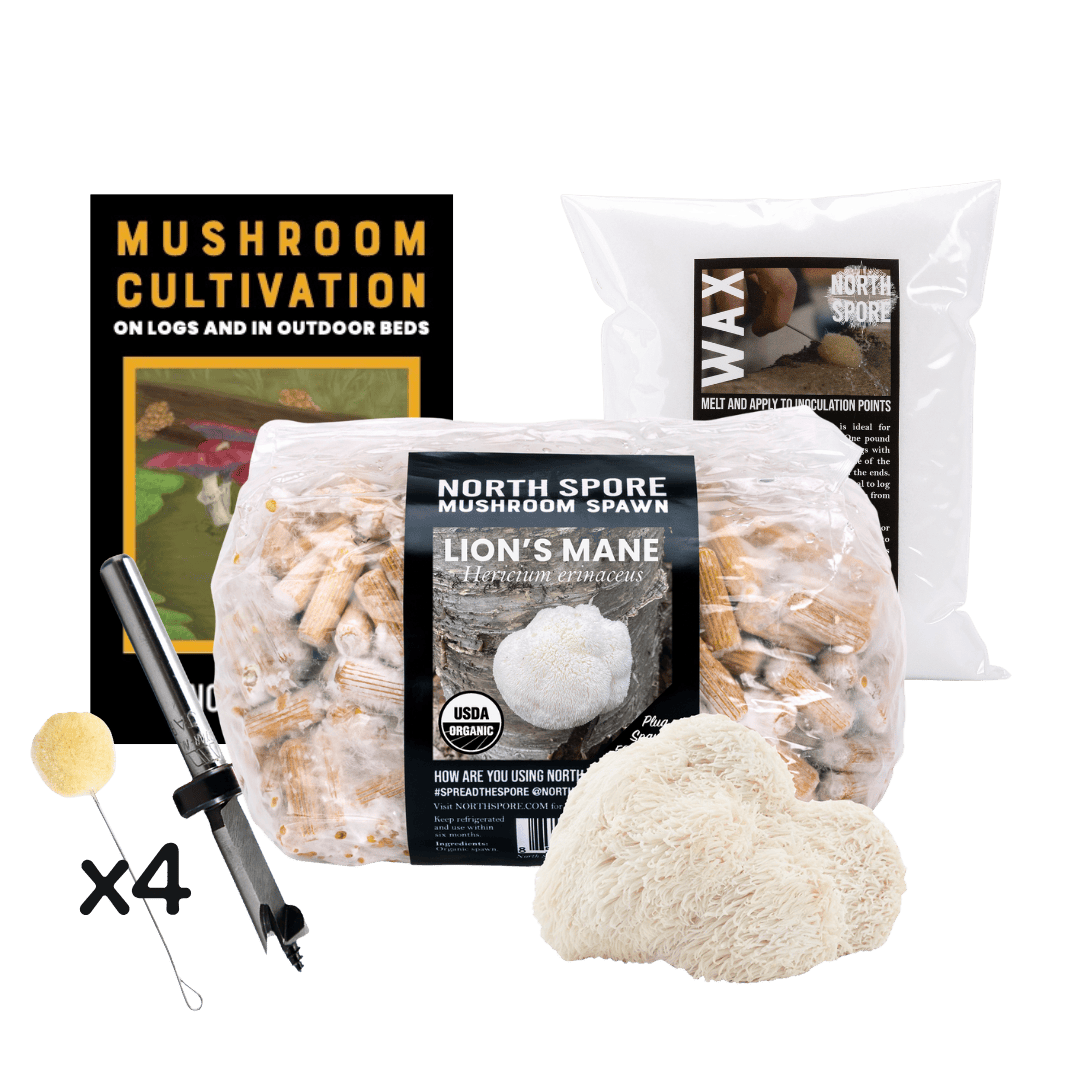 Plug Spawn Mushroom Log Beginner Kit - BetterGrow Hydro