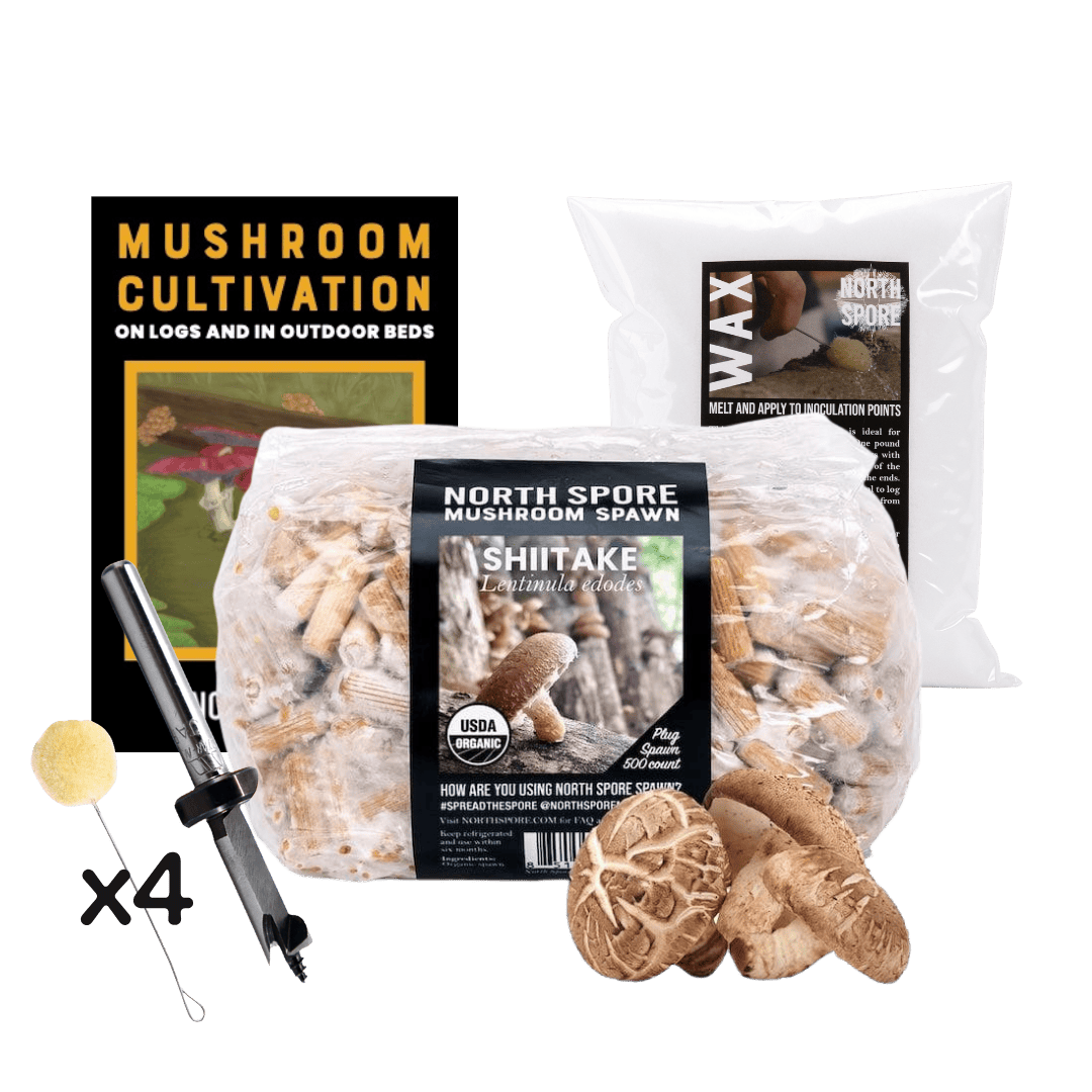 Plug Spawn Mushroom Log Beginner Kit - BetterGrow Hydro