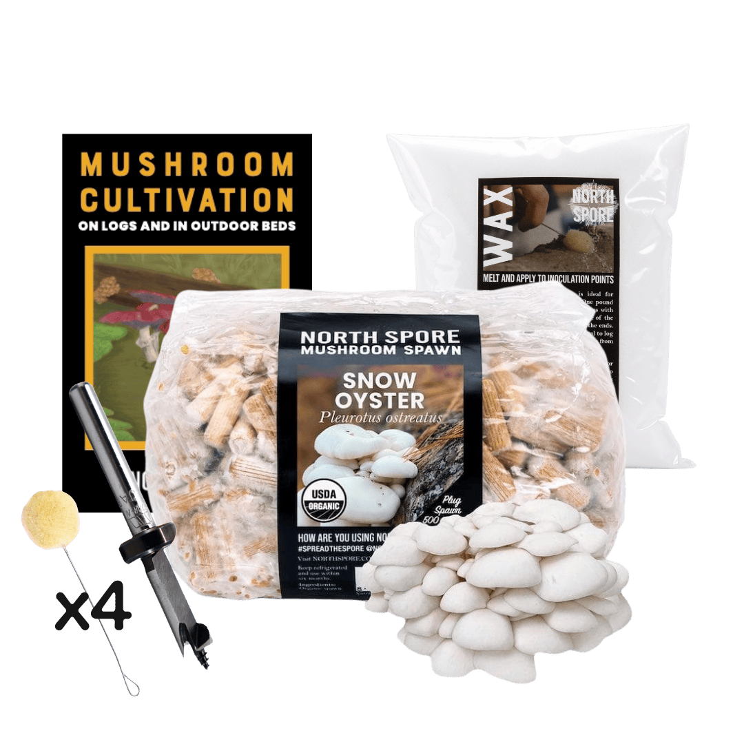 Plug Spawn Mushroom Log Beginner Kit - BetterGrow Hydro
