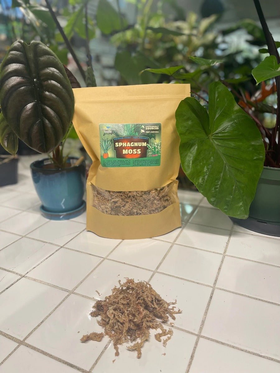 Premium Organic Dried Sphagnum Moss - 1 Gallon - BetterGrow Hydro
