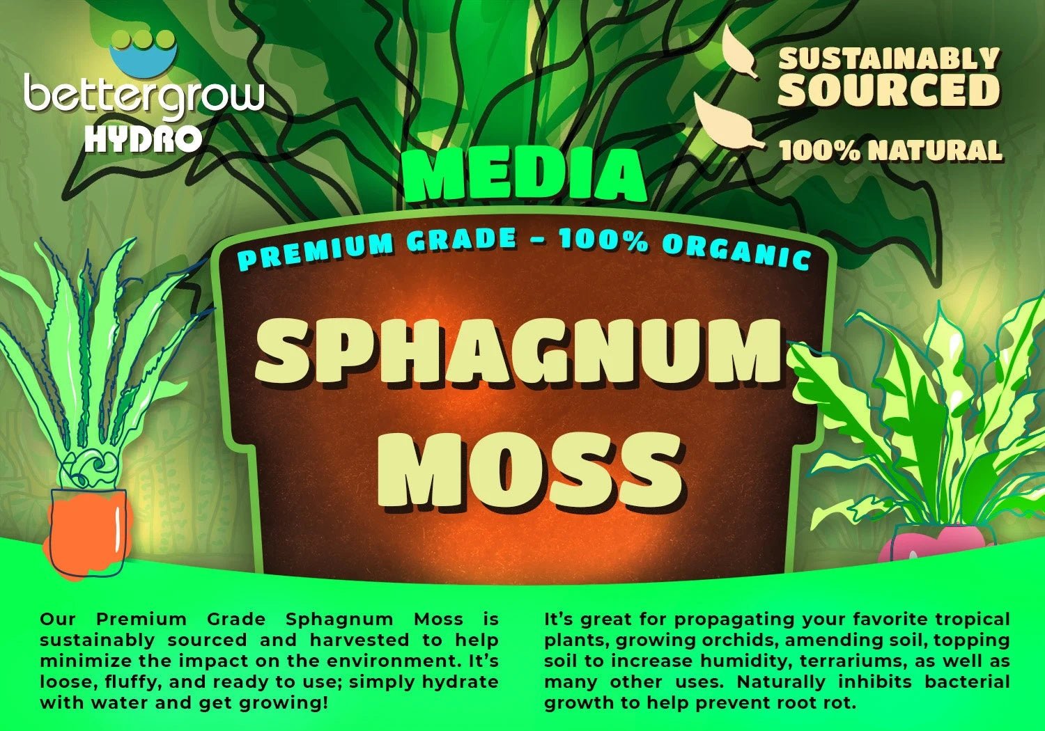 Premium Organic Dried Sphagnum Moss - 2 Gallon - BetterGrow Hydro