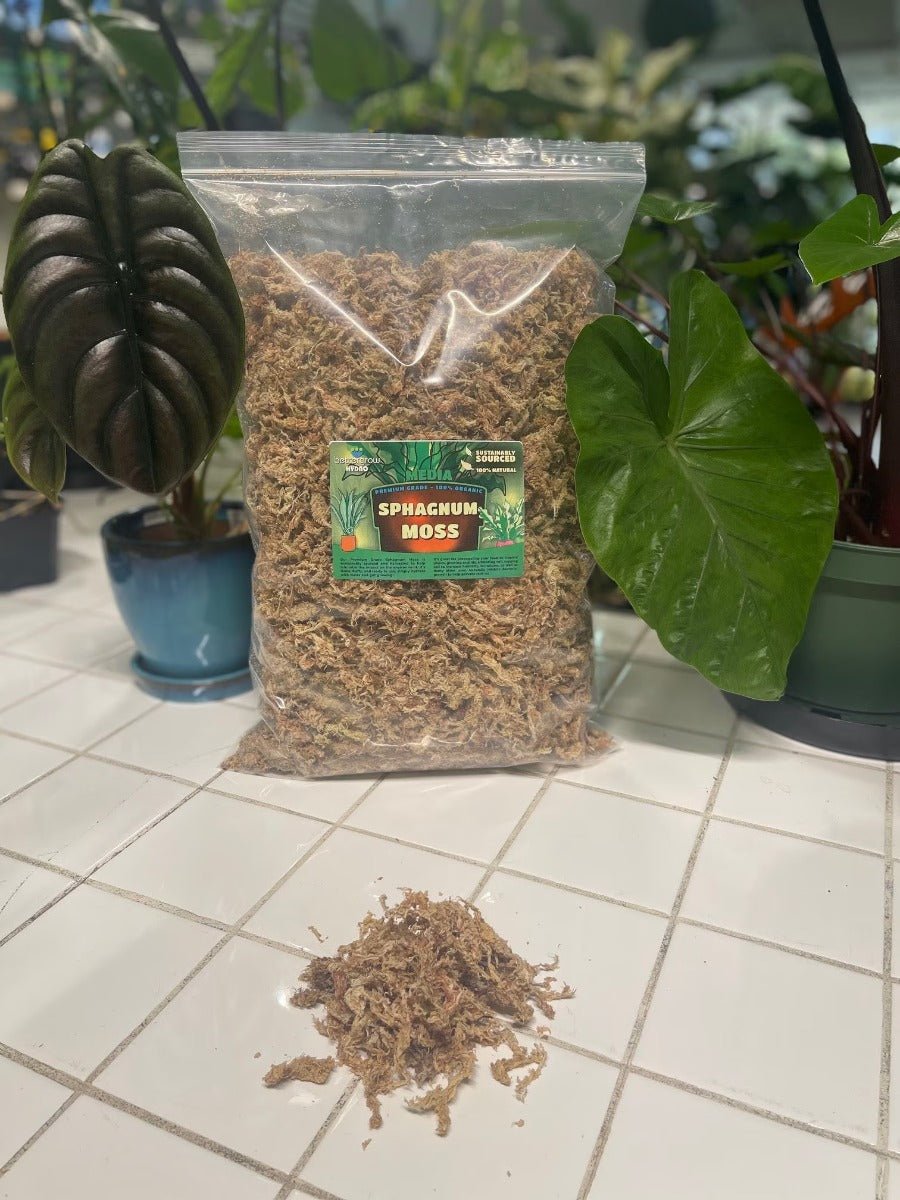 Premium Organic Dried Sphagnum Moss - 2 Gallon - BetterGrow Hydro