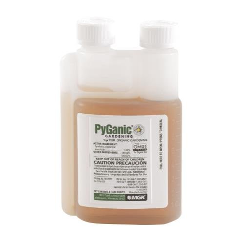 PyGanic Gardening - BetterGrow Hydro