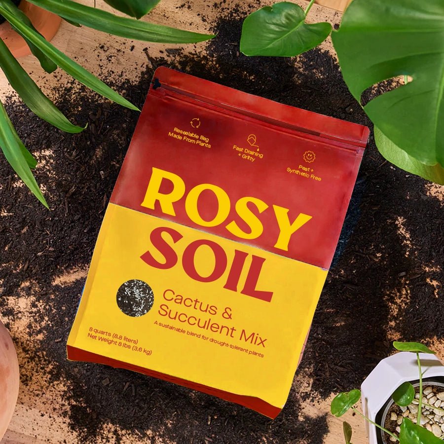 Rosy Cactus & Succulent Potting Soil - BetterGrow Hydro