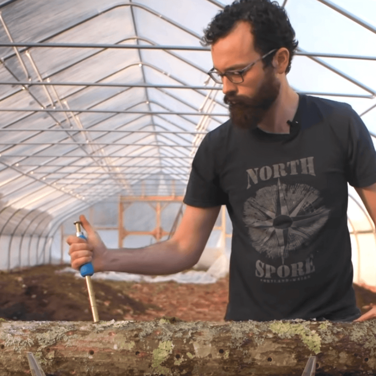 Sawdust Spawn Thumb Press Log Inoculation Tool - BetterGrow Hydro
