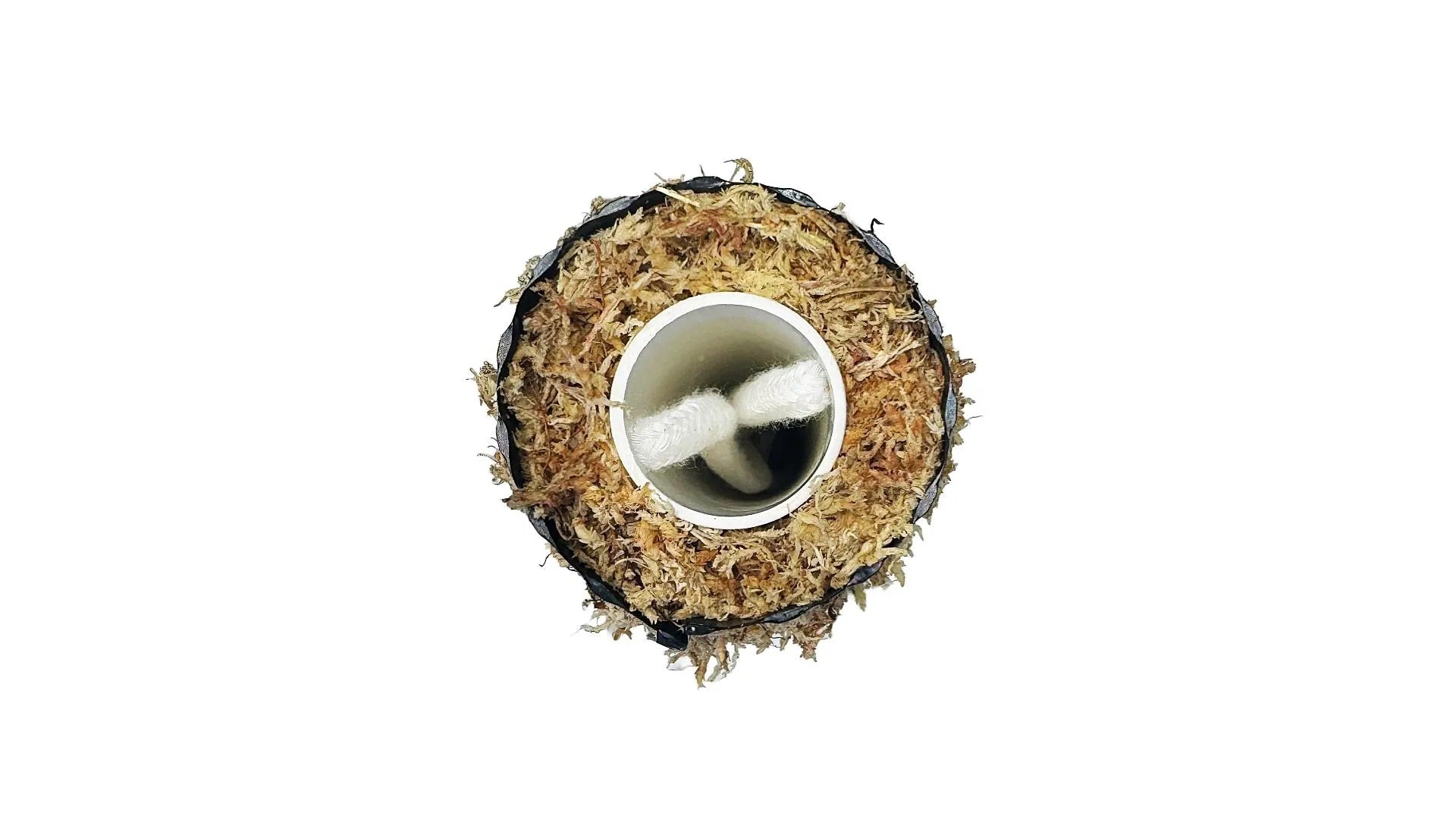 Self Watering Moss Pole with Aroid Mix and Stabilizing Base - BetterGrow Hydro