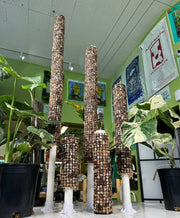 Self Watering Moss Pole with Aroid Mix and Stabilizing Base - BetterGrow Hydro