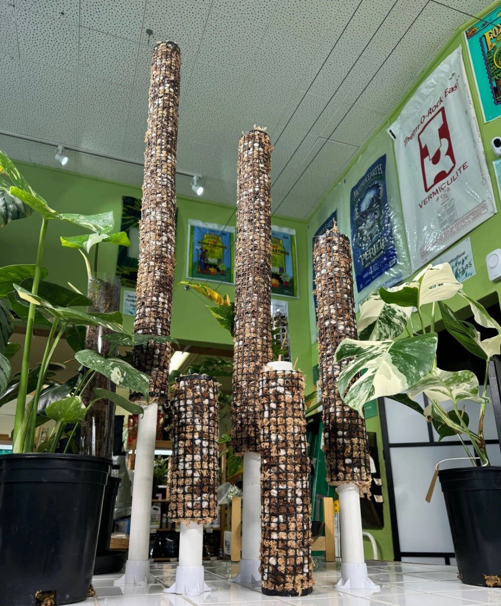 Self Watering Moss Pole with Aroid Mix and Stabilizing Base - BetterGrow Hydro