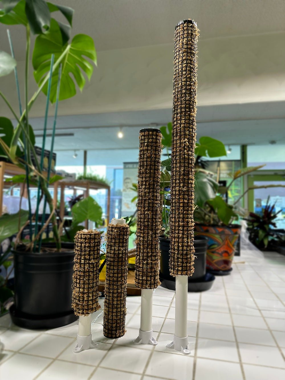 Self Watering Moss Pole with Stabilizing Base - BetterGrow Hydro