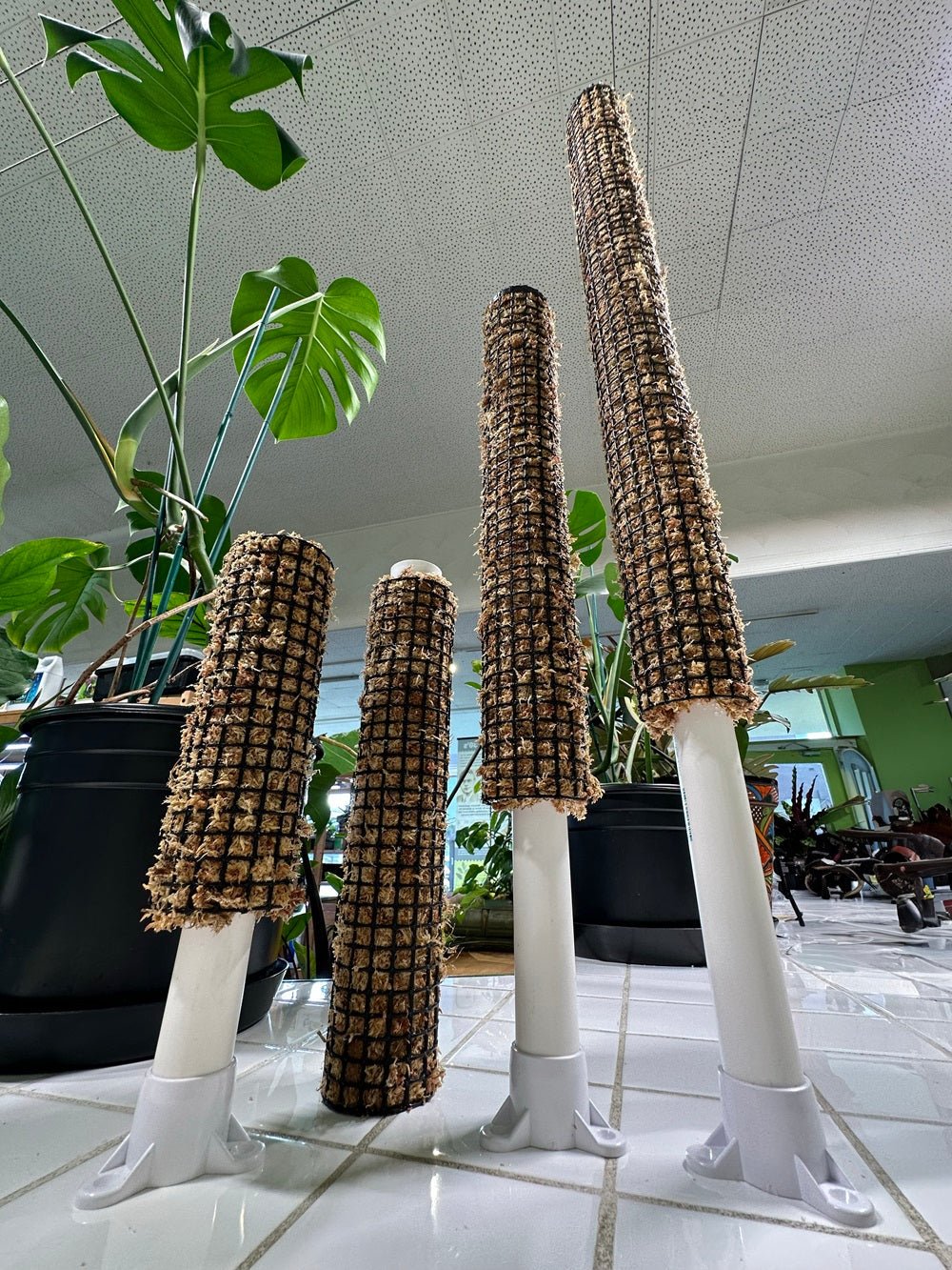 Self Watering Moss Pole with Stabilizing Base - BetterGrow Hydro