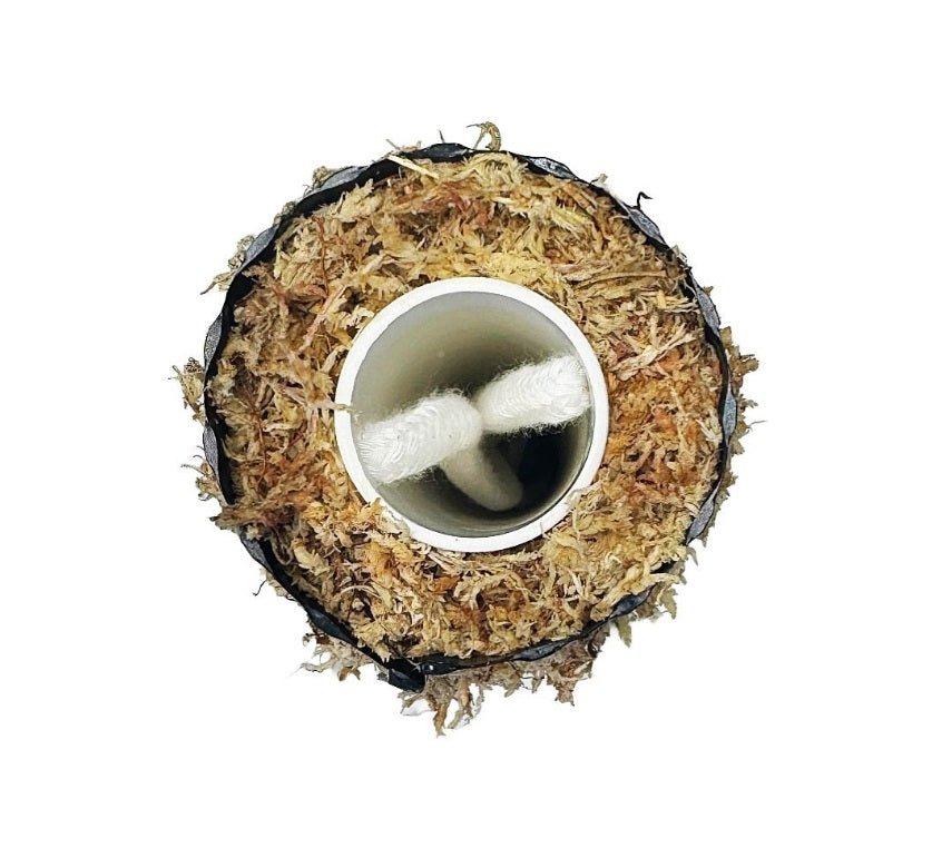 Self Watering Moss Pole with Stabilizing Base - BetterGrow Hydro