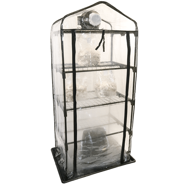 Shroom Room Mushroom Grow Tent - BetterGrow Hydro