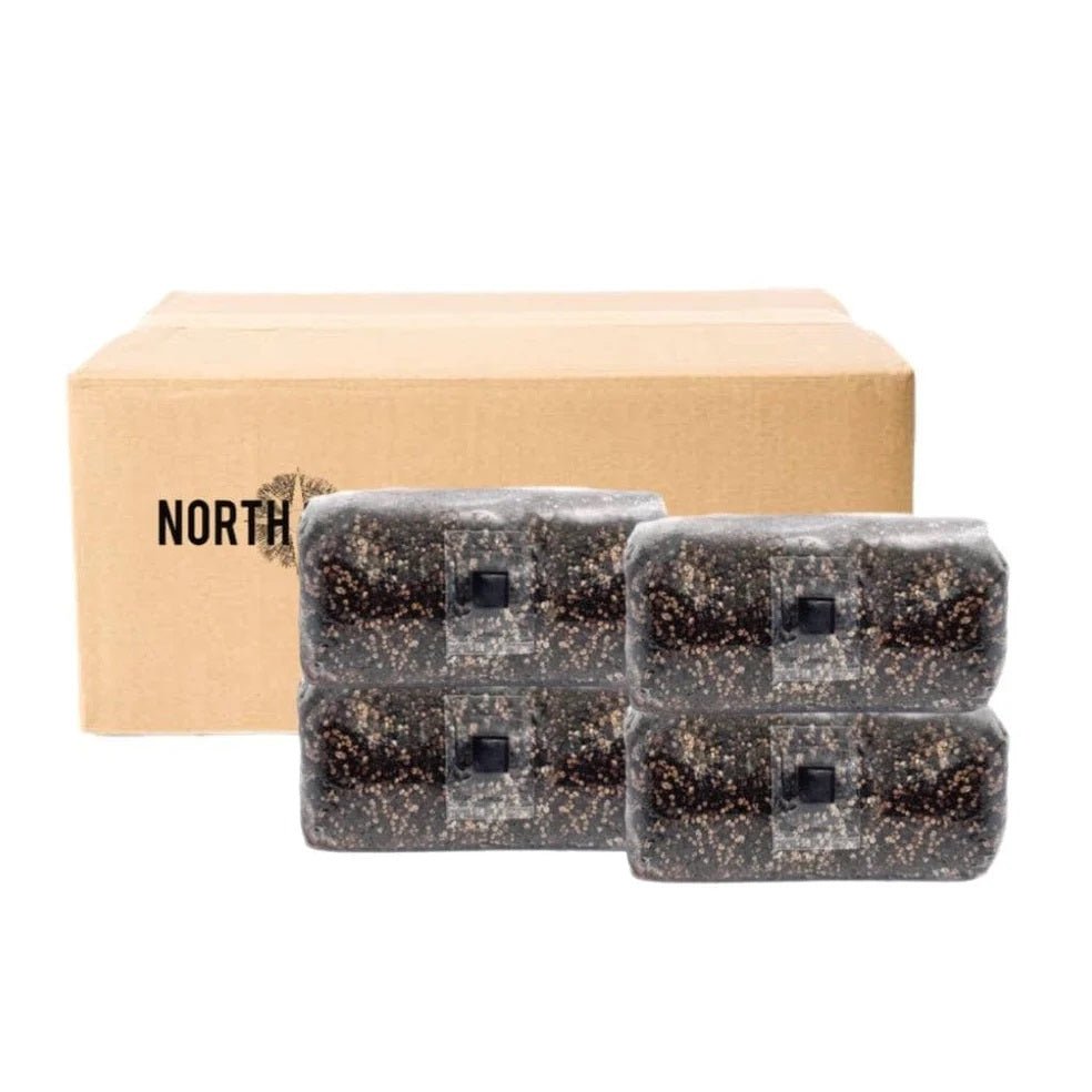 ShroomTek + Spore Boostr All - In - One Mushroom Grow Bag - BetterGrow Hydro